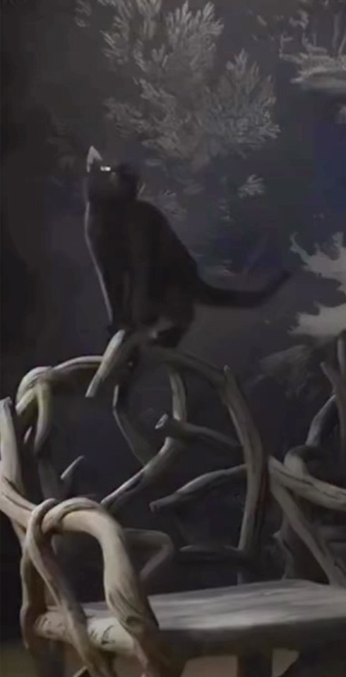 Black cat perched on an antler chair in the Currey and Company High Point Market showroom